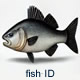fishing report link