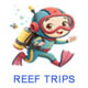 Great Barrier Reef snorkeling and diving tours