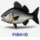 fish identification link