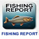 fishing report link